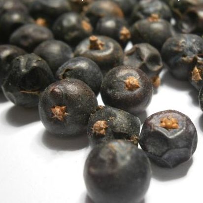 Jagody jałowca (Włochy) - 30g