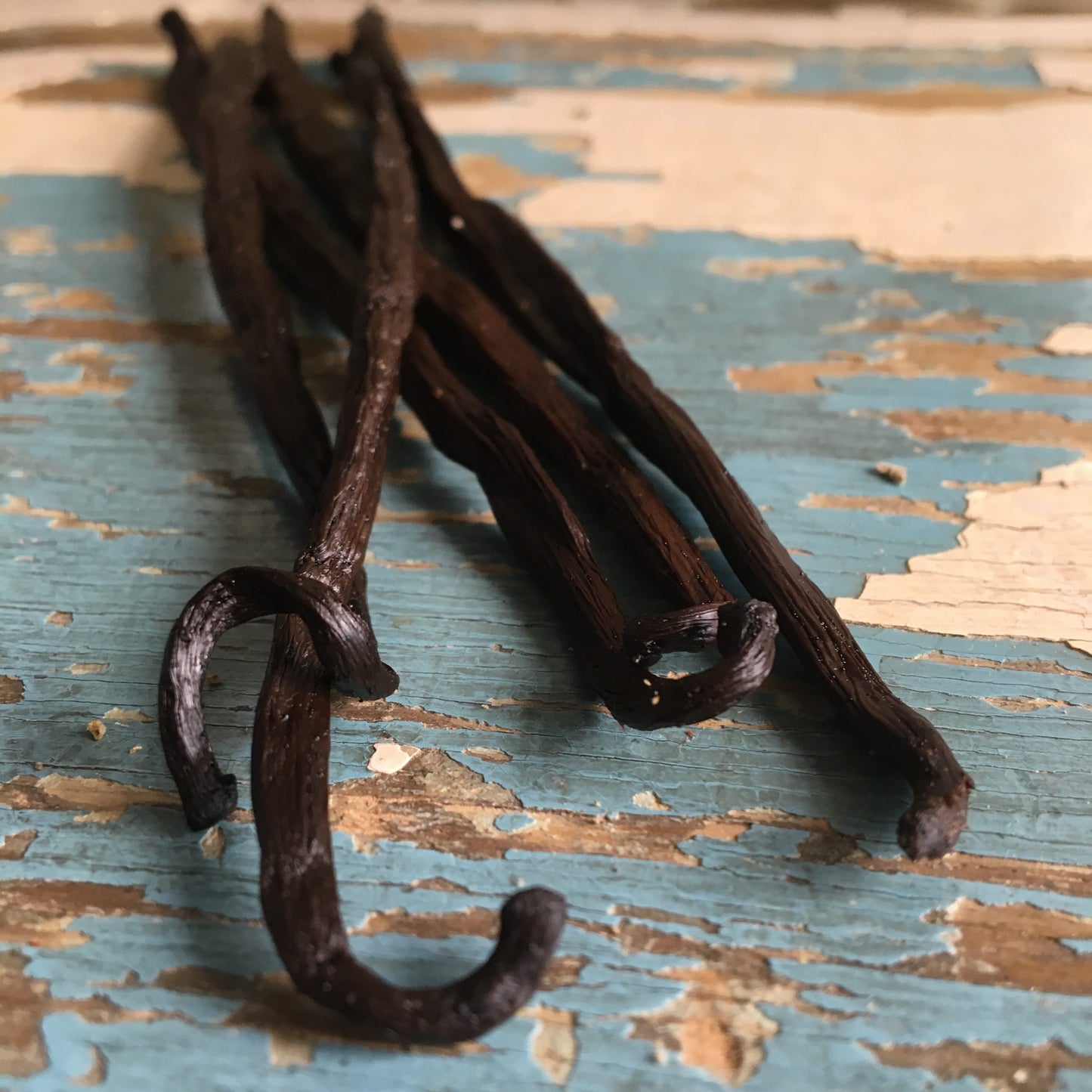 Wanilia Bourbon (Madagaskar) - 5g