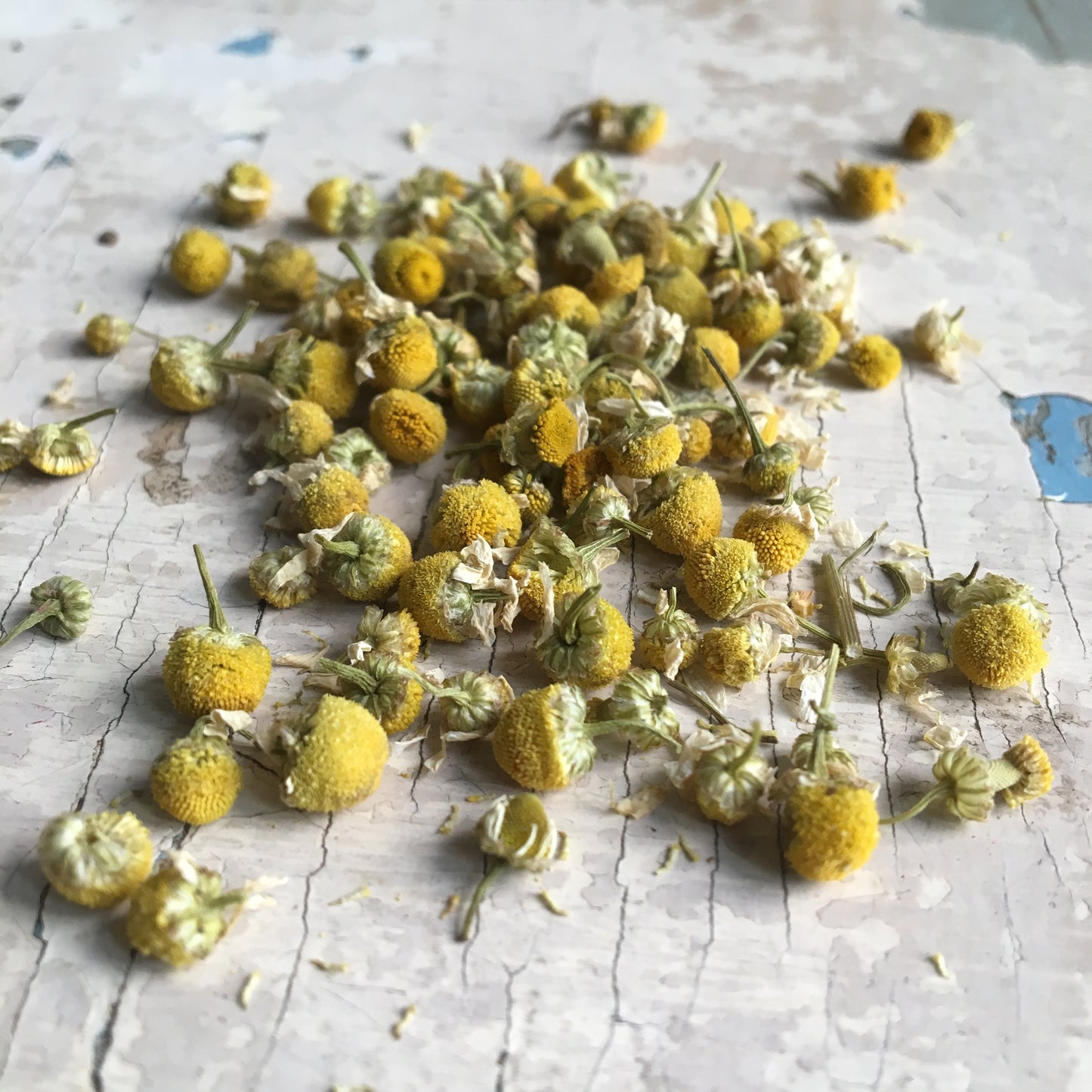 Kwiaty rumianku - 50g